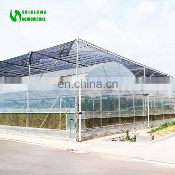 Agricultural Poly Film Greenhouse/ Greenhouse Equipment/ Horticulture