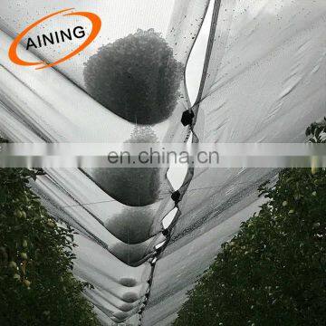 Mesh size 7.8*2.8 mm leno anti insect net hailnet for apples