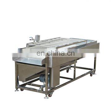 Industrial Automatic Red Bell Pepper Onion Tomato Vegetable Brush Roll Washing Machine for Sale photo-2