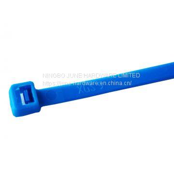 PA66 nylon cable tie