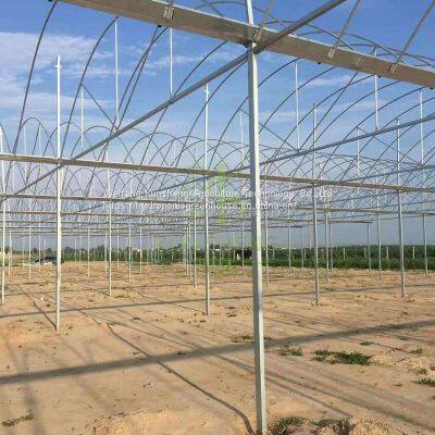 Multi-span Greenhouse