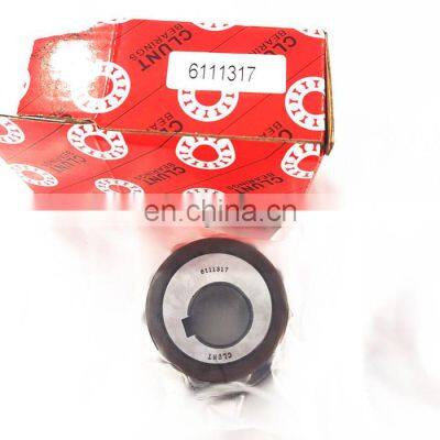 Eccentric Bearing 6111317 for Gear Reducer 6111317 bearing Cylindrical Roller Bearing 6111317