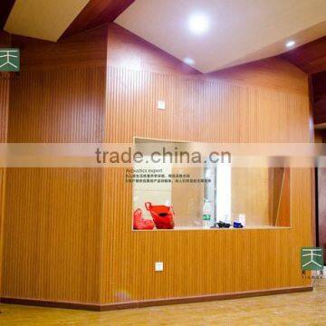 Auditorium Sound Proof Door photo-4