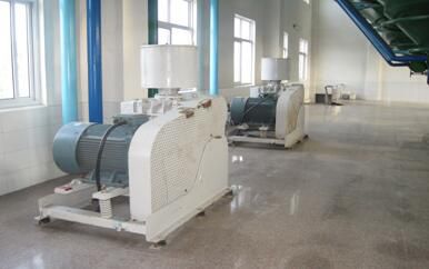 Stark duty Malting Equipment mit 10 HP-Motor für die Großserienproduktion photo-4