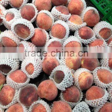 Fruit Foam Package Sock photo-5