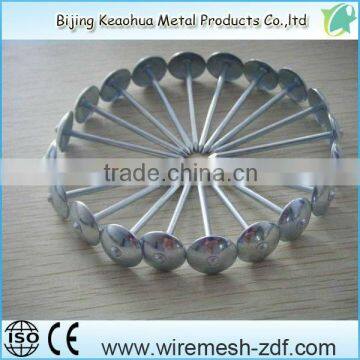 FACTORY PRICE roofing nail with plastic washer