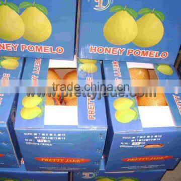 new crop fresh honey pomelo for export