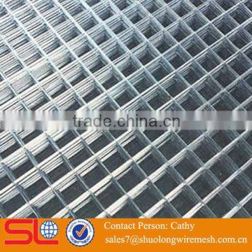 1 Inch Hot Sale Galvanized Welded Wire Mesh Buy for Shuolong Company photo-5