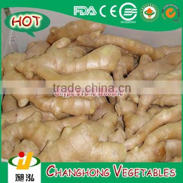 2014 Air Dried Ginger with 13.6kg/PVC Box