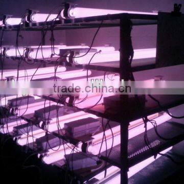 400W PAR Induction Grow Light