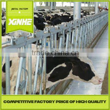 Farm equipment Cattle headlock for dairy farms,livestock farm