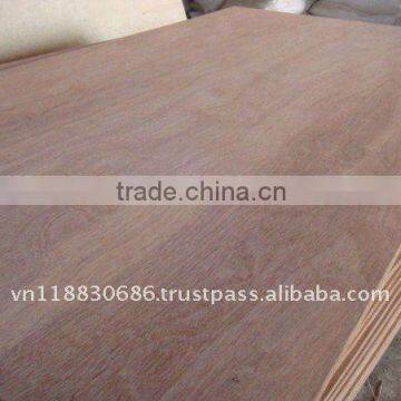 HIGHT QUALITY KERUING PLYWOOD