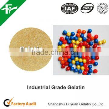 Gelatin in granule with bloom 100/ pale yellow type