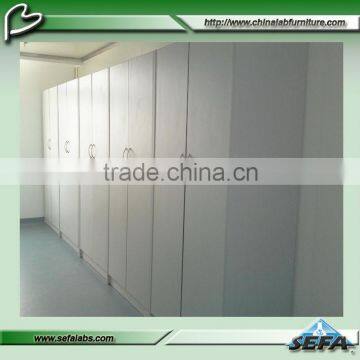 Popular Laboratory Furniture Tall Thin Coat Metal Storage Cabinet Metal Locker