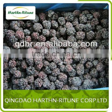 Hot Sale Bulk Organic Frozen Blackberry