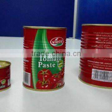 Brix 28-30% 36-38% Tomato Paste in Bottles or Drums photo-5