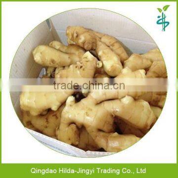 Professional chinese fresh ginger wholesale