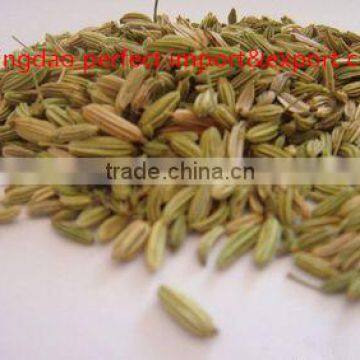 Spice Cumin Seeds photo-2