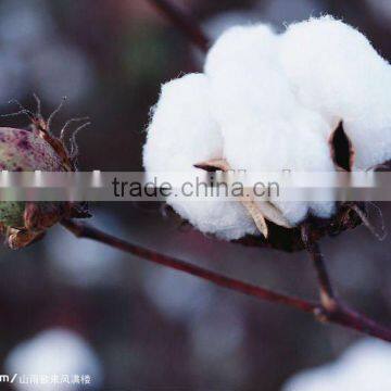 cotton shelling machine