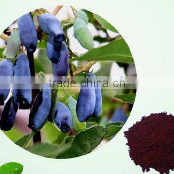 natural sweetberry extract ISO, GMP, HACCP, KOSHER, HALAL certificated made in China