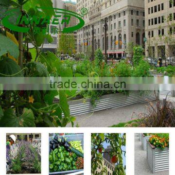 Scallion Plant Slot for Agricultural Tools