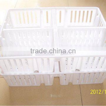 PP Circulating Poulet Cage For Chicken House