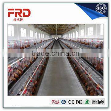 FRD 96, 120,128,160,200birds/set cage 128bird chicken layer coop/Model Poultry Cage