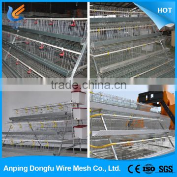 design layer chicken cage , pullet chicken cage