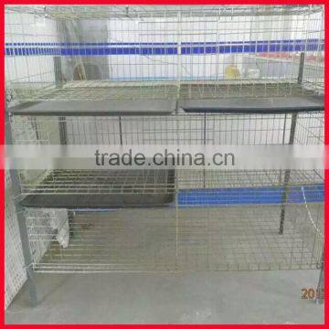 Chicken Manure Tray for H Type Chicken Cage photo-4
