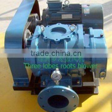 Roots Rotary Lobe Blowers(LZSR50-300B)