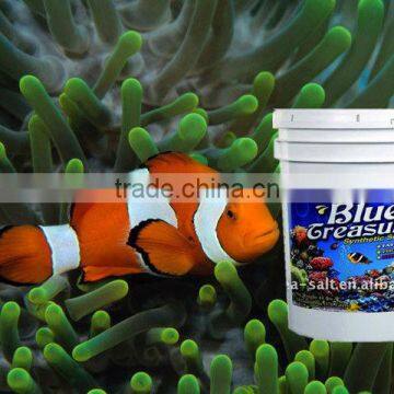 Blue Treasure Ornamental Fish Raw Sea Product Marine Salt photo-3