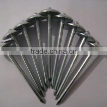 hot-dip galvanized roofing nails