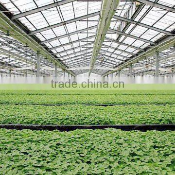 Agriculture /garden Commercial Greenhouse For Sale photo-3