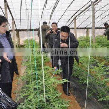 2017 New Electric Tomato Pollinator. photo-2