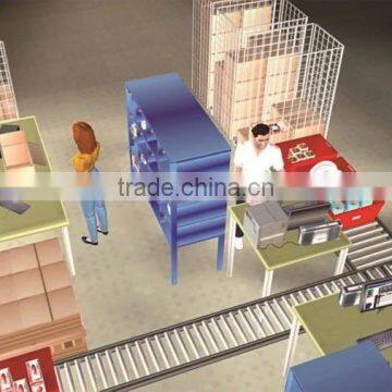 Distributing Sorting Conveyor System