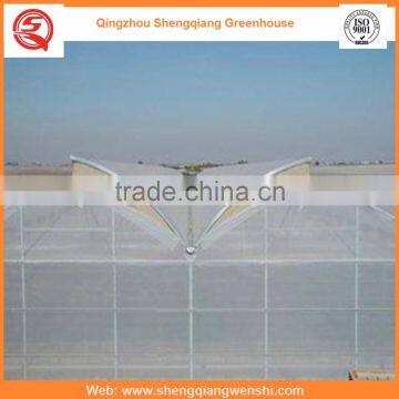 Agriculture Equipment Multi-span 6.0m Plastic PE Film Agriculture Greenhouse for Sale photo-3