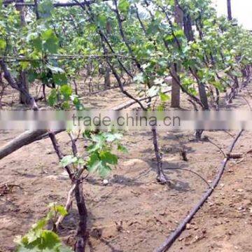 Irrigation Drip Pipe With Good Quality Drip Tape Drip Line photo-2