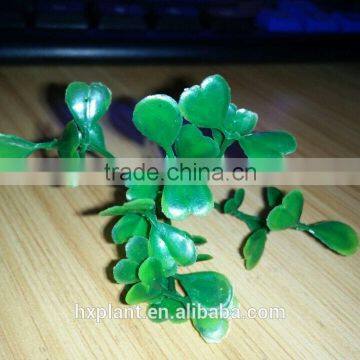 Milan Straw TURF WALL ARTIFICIAL GRASS Milan Straw Artificial Milan Straw photo-4