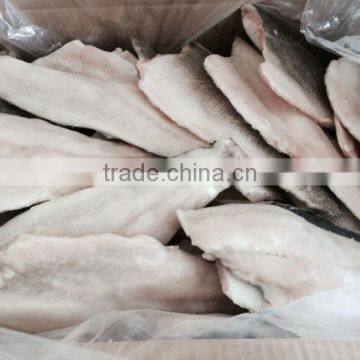 Frozen Seabass Fillets 50-100g Lateolabrax Japinicus photo-4