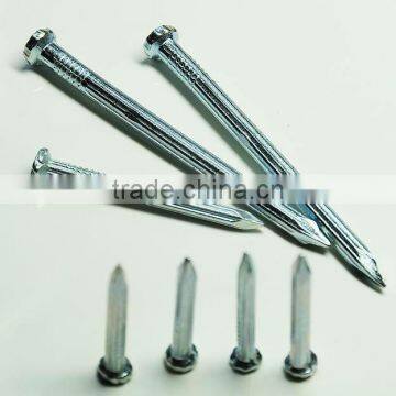 Plain and Twist Shank Concrete Nails(factory) photo-2