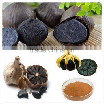 China Black Garlic Extract and Hot Sale Weight Blackgarlic(new Product) --HC Company photo-2