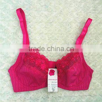 Beautiful Flower Embroidery Women Sexy Bra Name Brand