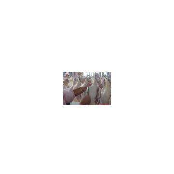 Frozen Broiler And Broiler Parts