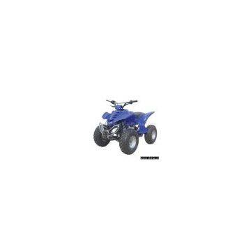 ATV (110cc)