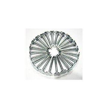 Galvanized Roofing Nail from China