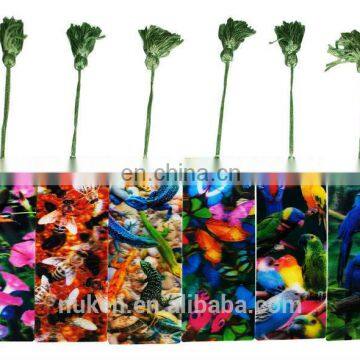 Lenticular Printing photo-5