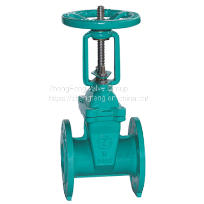 Rising Stem Resilient Gate Valve