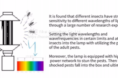 Sustainable Product Solar Insect Trap and Insect Light With Trap for Greenhouse photo-3