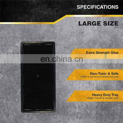 High Quality Wholesale Plastic Tray Mouse Rat Glue Trap Customize Sticky Board Mouse Glue TrapHot Sale Products 1 Pack/2 Traps