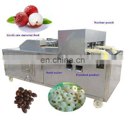 Cheap price High Quality Factory Directory Sale Apple Ouli Cerasus Humilis Dwarf Cherry Core Removing Machine